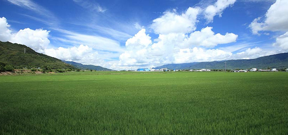 關山清水莊民宿環境介紹