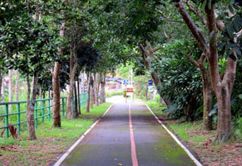 關山自行車環鎮車道